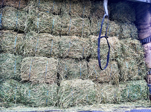Interstate Hay