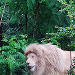 Photo n° 1 de l'avis de ItsM3Azur_. fait le 31/07/2021 à 11:28 pour Zoo d'Amnéville à Amnéville