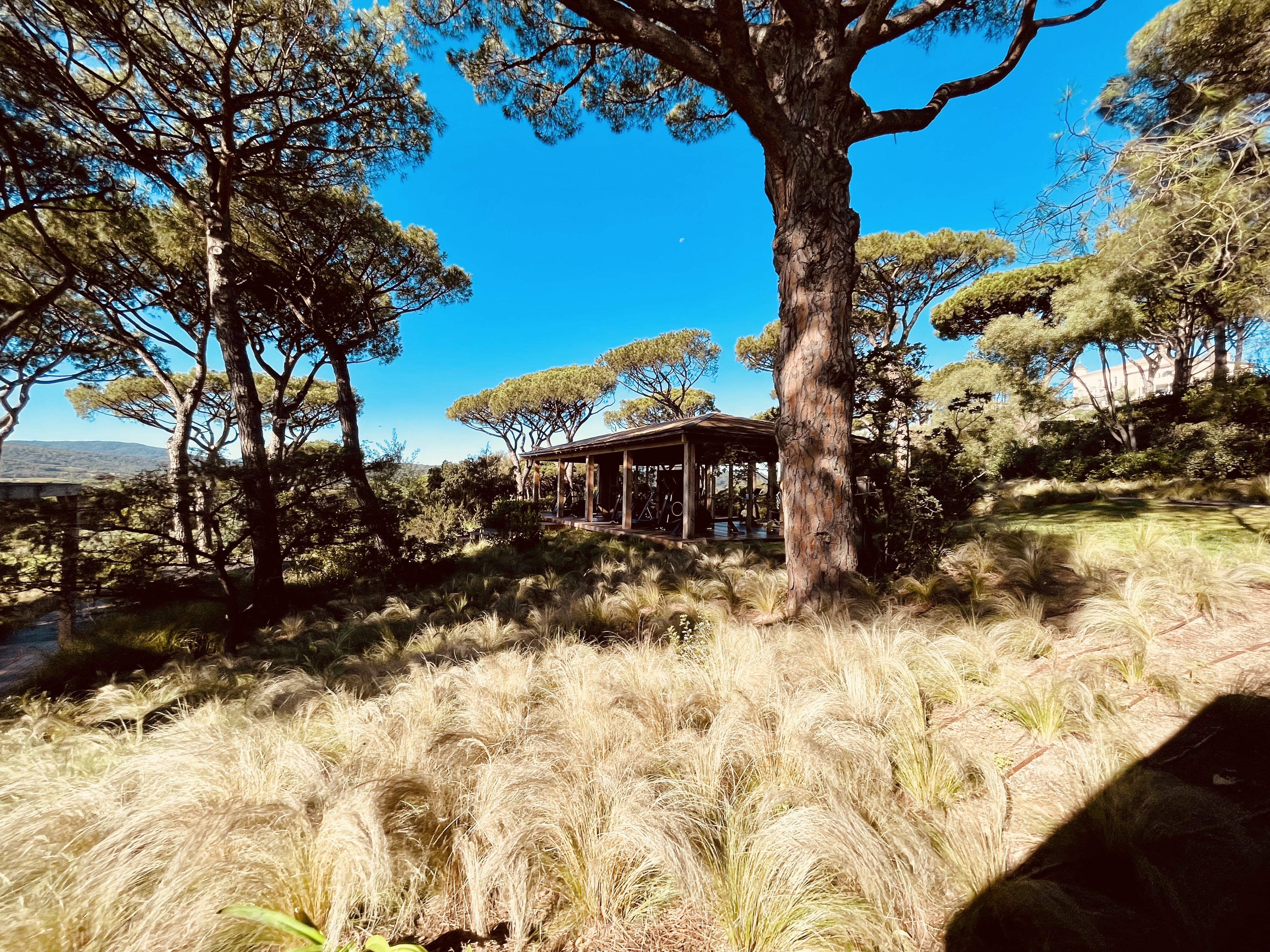 Photo n° 46 de l'avis de Rick.t fait le 18/10/2022 à 16:54