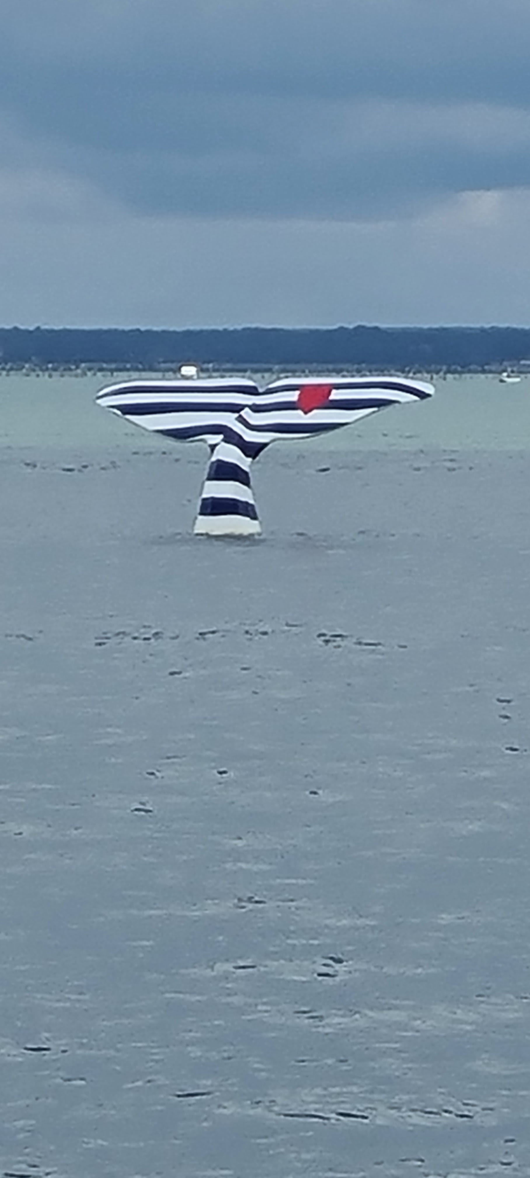 Photo n° 1 de l'avis de Jk. fait le 20/08/2021 à 14:53
