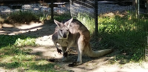 Tourist Attraction «Cleveland Zoo Train Station», reviews and photos, Wildlife Way, Cleveland, OH 44109, USA