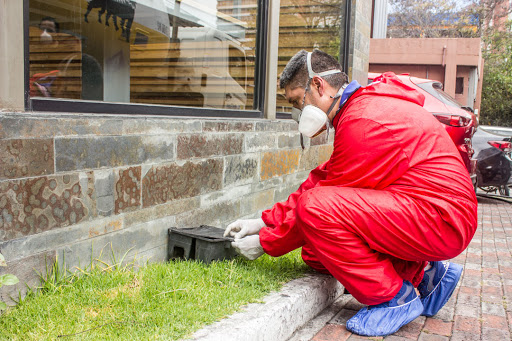 Empresas de fumigación en Quito