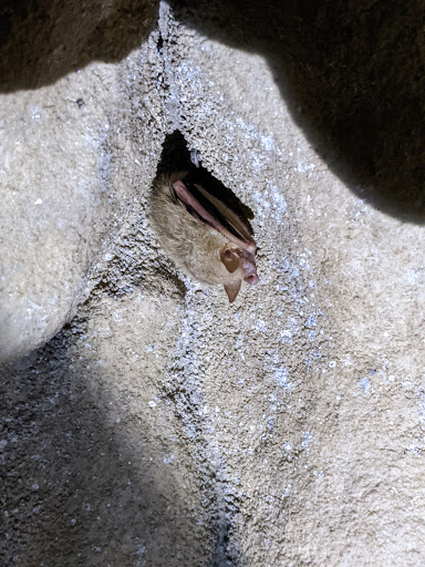 Tourist Attraction «Cascade Caverns», reviews and photos, 226 Cascade Cavern, Boerne, TX 78015, USA