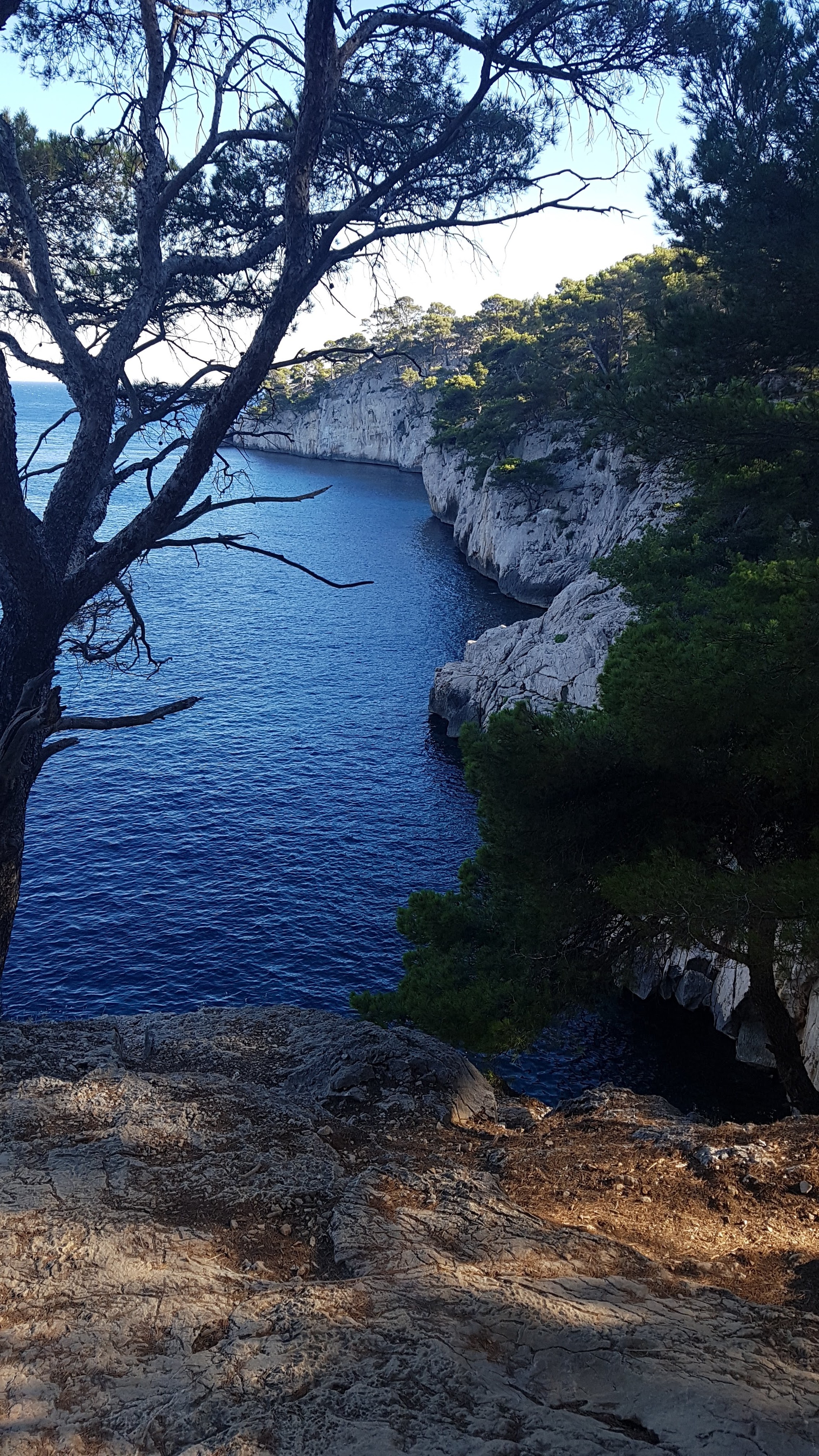 Photo n° 7 de l'avis de Alex.e fait le 25/07/2018 à 11:48