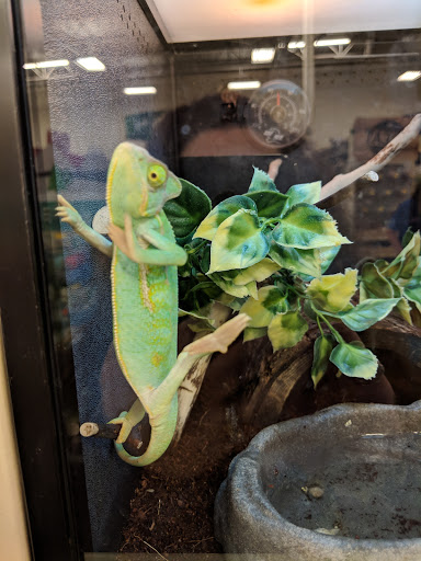 Pet Supply Store «PetSmart», reviews and photos, 7616 Denton Hwy #532, Watauga, TX 76148, USA