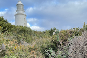 Bruny Island Safaris Food, Sightseeing and Lighthouse Tours with lunch image