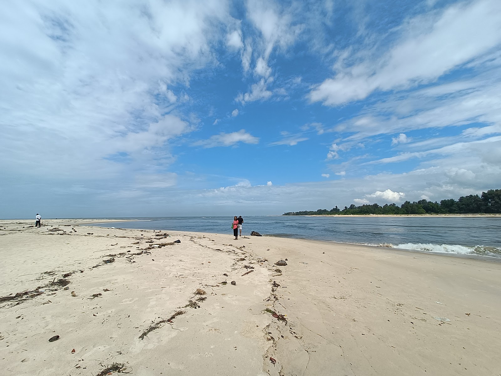 Foto av Delta Point med lång rak strand