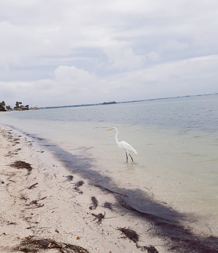 Golf Course «The Tides Golf Club», reviews and photos, 11832 66th Ave N, Seminole, FL 33772, USA