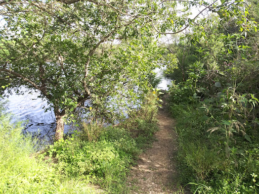 Park «Tom Slick Park / Dog Park», reviews and photos, 7400 Texas 151 Access Rd, San Antonio, TX 78227, USA