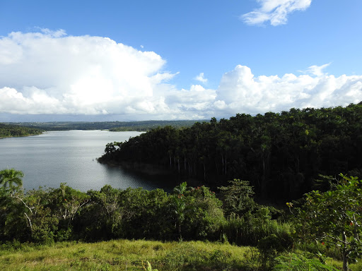 Reserva Natural Pantano Cibuco