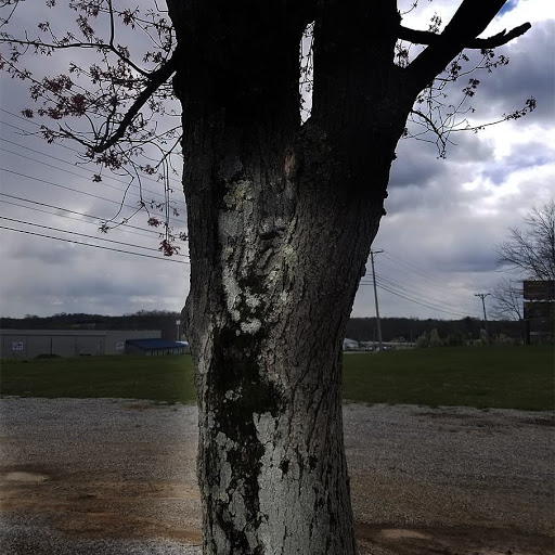 Discount Store «Dollar General», reviews and photos, 1151 Old US Highway 127 Road, Frankfort, KY 40601, USA