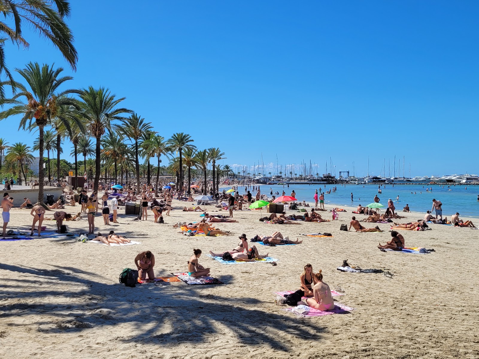 Foto av Platja de s'Arenal (Palma) med lång rak strand
