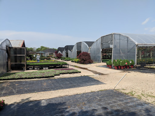 Strong's Nursery And Garden Center