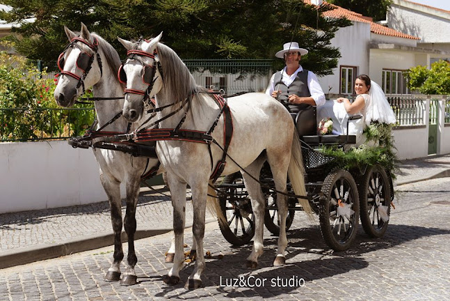 Luz & Cor-studio - Castelo Branco