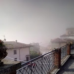 Photo n°1 de l'avis de Pasquale.i fait le 13/08/2019 à 15:21 sur le  Azienda Agricola Zerbi Antonio e Cristina à Pieve Albignola