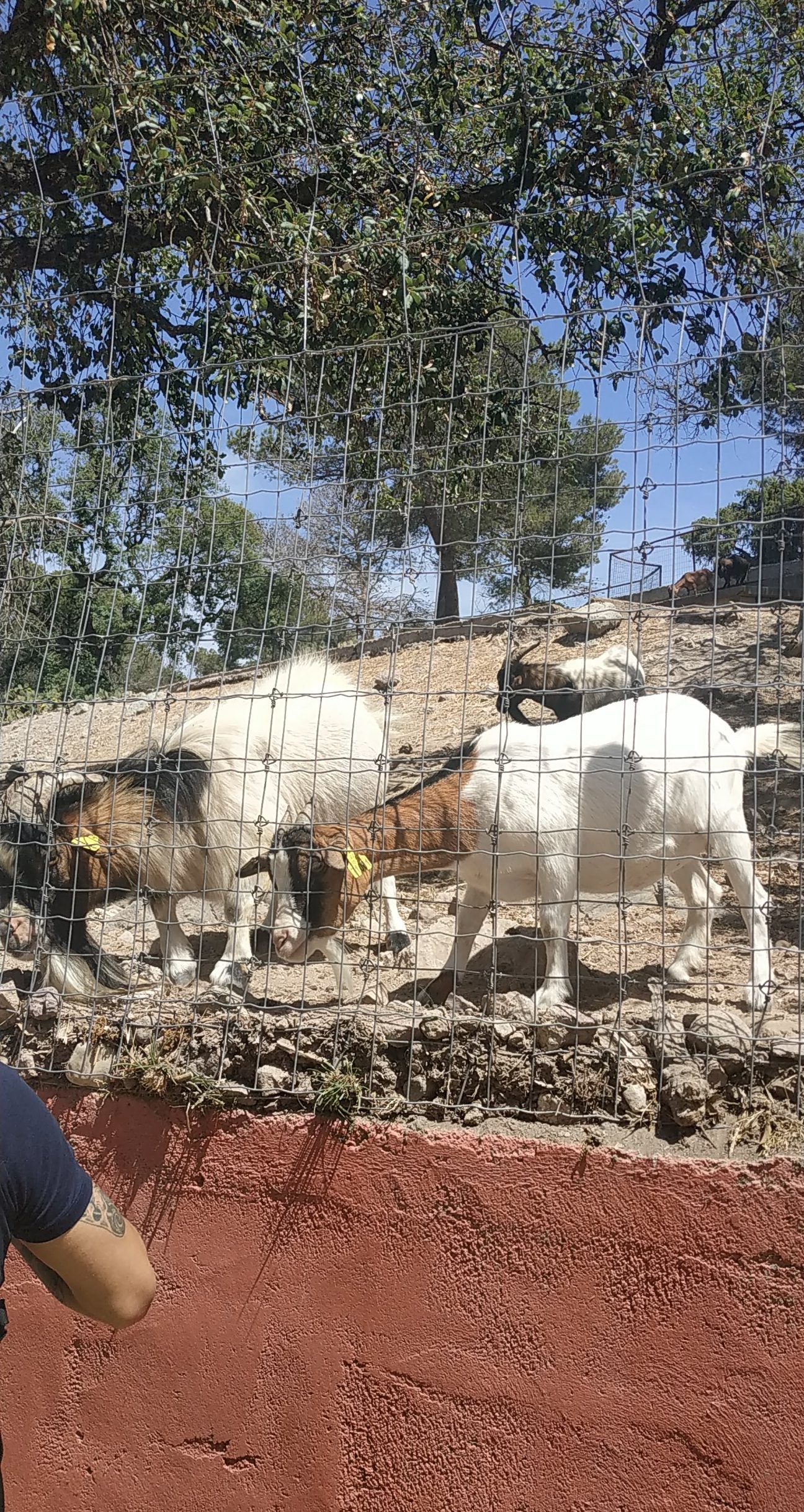 Photo n° 6 de l'avis de Aurélie.s fait le 28/09/2018 à 14:25
