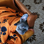 Photo n°4 de l'avis de NICOLA.O fait le 08/03/2023 à 15:10 sur le  Porta Del Sole di Roberto De Persio à Rome