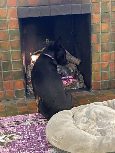 Gift Shop «Fireplace Gifts & Florist», reviews and photos, 6800 E Main St, Reynoldsburg, OH 43068, USA