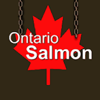 Photos du propriétaire du Restaurant canadien Restaurant Ontario Salmon à Grenoble - n°18