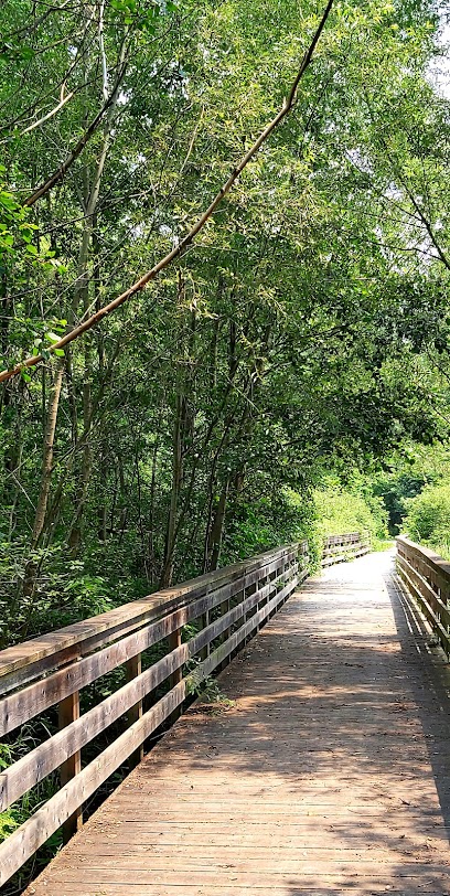 Moffat Creek Trail
