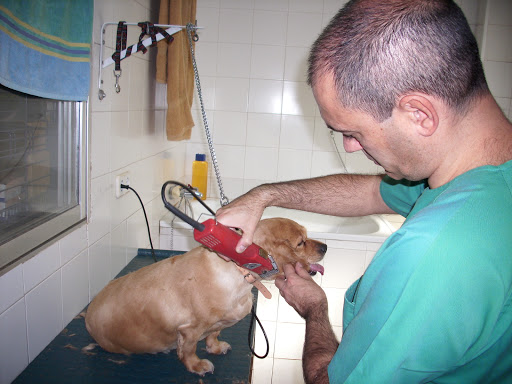 Centro Veterinario Macarena en Sevilla