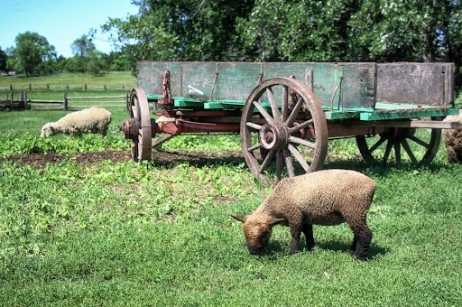 History Museum «OIiver Kelley Farm», reviews and photos, 15788 Kelly Farm Rd NW, Elk River, MN 55330, USA