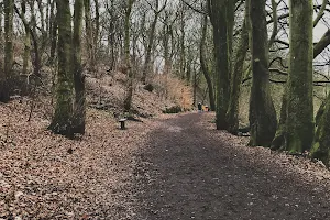 Daisy Nook Country Park image