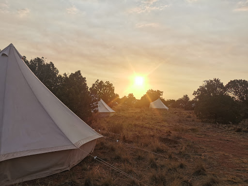 General Store «Tusayan General Store», reviews and photos, 577 AZ-64, Grand Canyon Village, AZ 86023, USA
