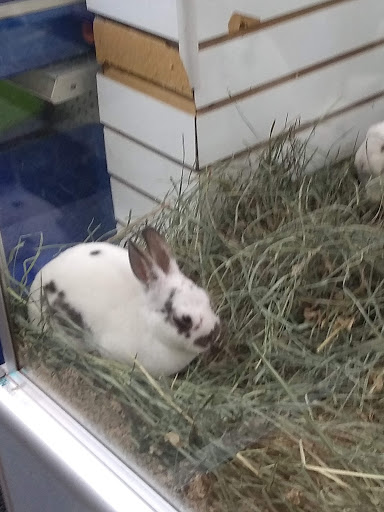 Pet Store «Pets Plus», reviews and photos, 151 Lincoln Hwy, Fairless Hills, PA 19030, USA