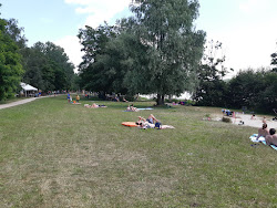 Hasselbacher See Strand'in fotoğrafı çok temiz temizlik seviyesi ile