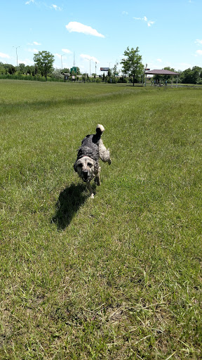 Dog Park «Beck Lake Off-Leash Dog Area», reviews and photos, 9700 Gloria Ct, Glenview, IL 60025, USA