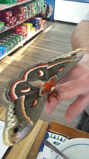 Discount Store «Corner Key Stop», reviews and photos, 5980 Elmburg Rd, Bagdad, KY 40003, USA