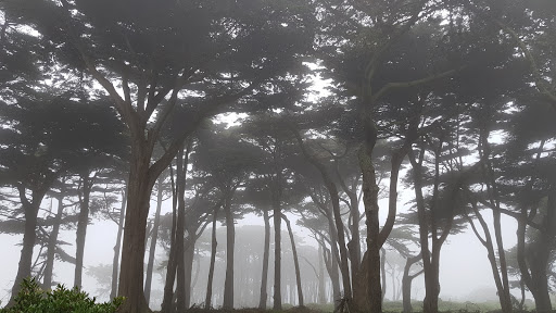 Tourist Attraction «Camera Obscura», reviews and photos, 1096 Point Lobos Ave, San Francisco, CA 94121, USA