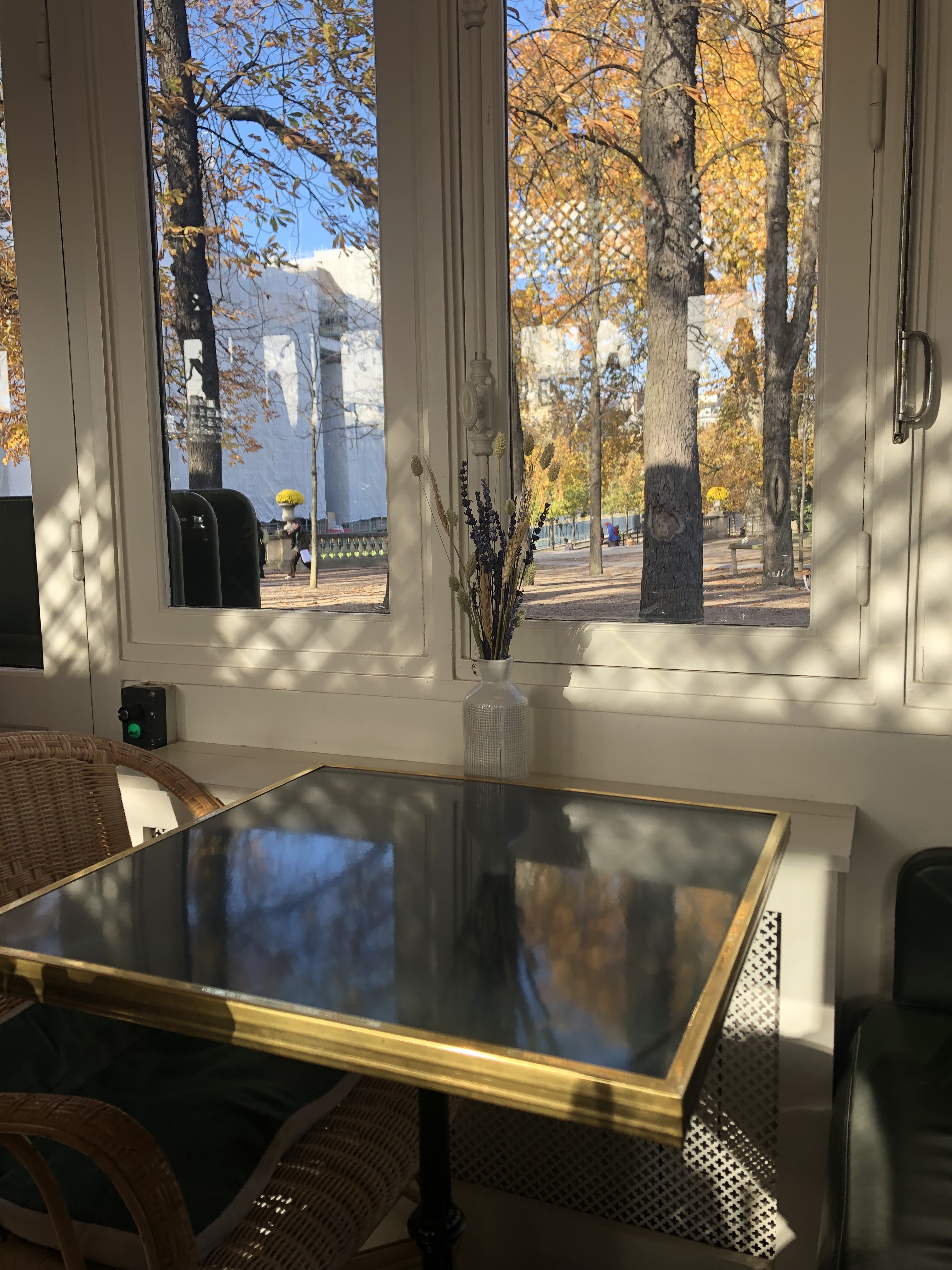 Photo n° 3 de l'avis de Camélia.e fait le 25/11/2022 à 16:08