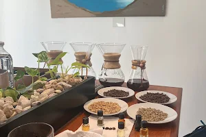 Coffee Tasting Experience by Know How Coffee image