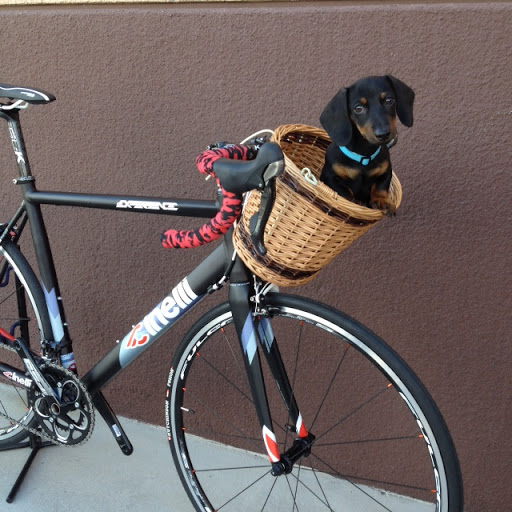 Bicycle Store «Vegas Bike Store», reviews and photos, 3955 S Durango Dr b, Las Vegas, NV 89147, USA