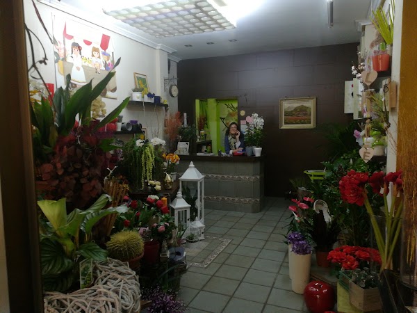 Imagen de Floristería Paloma
