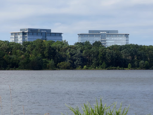 Insurance Company «Metlife GTO», reviews and photos