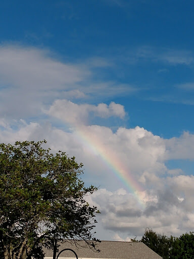 Nature Preserve «Rye Preserve», reviews and photos, 905 Rye Wilderness Trail, Parrish, FL 34219, USA