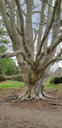 Tourist Attraction «Governor Ames Estate», reviews and photos, 35 Oliver St, North Easton, MA 02356, USA