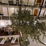 Photo n°2 de l'avis de Sina.u fait le 16/08/2021 à 18:19 sur le  Best Western Plus Hotel Fellbach-Stuttgart à Fellbach