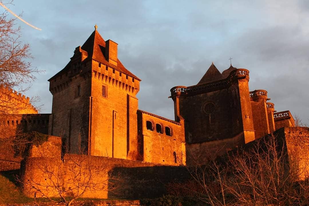 Photo n° 2 de l'avis de NEBASTEN. fait le 15/01/2020 à 22:02