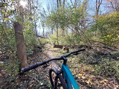 Andrews Mountain Biking Trailhead