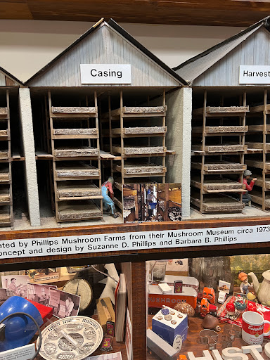 Gift Shop «The Mushroom Cap», reviews and photos, 114 W State St, Kennett Square, PA 19348, USA