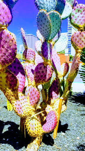 Hotel «The Clarendon Hotel and Spa», reviews and photos, 401 W Clarendon Ave, Phoenix, AZ 85013, USA