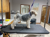Brush Bath & Beyond Pet Resort & Spa - Photo 8 - Car repair in Wichita Falls, TX, Wichita Falls