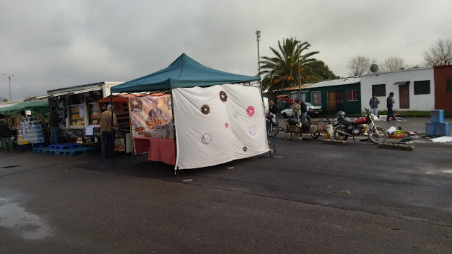 Feria Maldonado - Rocha