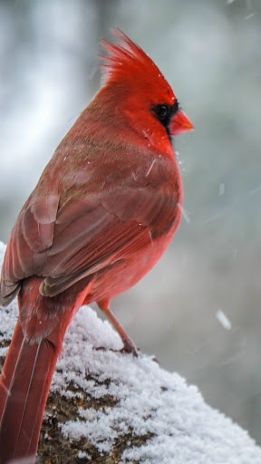 RV Park «Hidden Valley RV & Golf Park», reviews and photos, 81 Damren Rd, Derry, NH 03038, USA