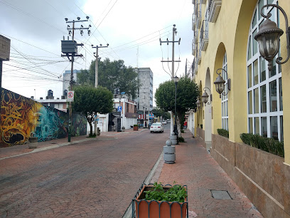 Fiesta Inn Toluca Centro