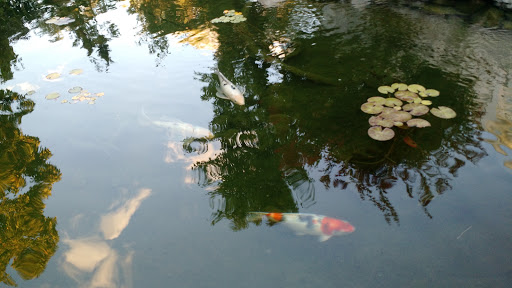 Funeral Home «Glenville Funeral Home», reviews and photos, 9 Glenridge Rd, Scotia, NY 12302, USA